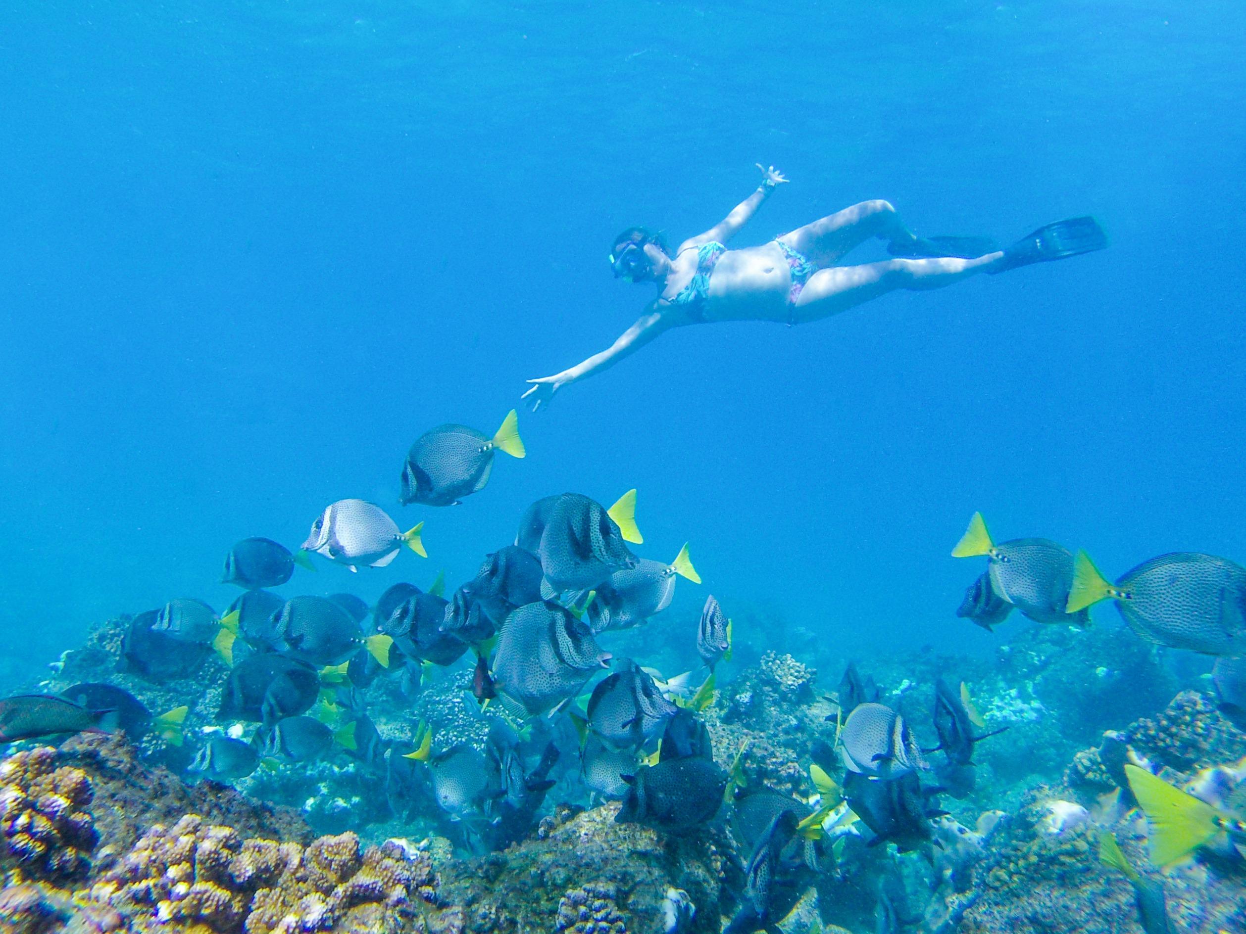 Snorkel Adventure