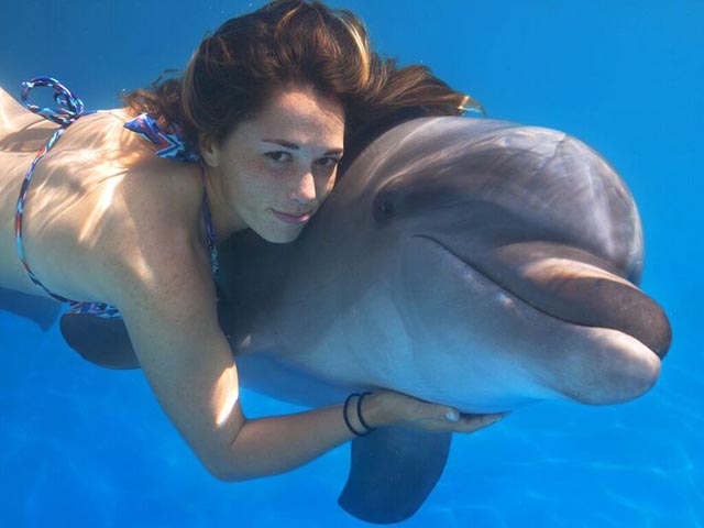 Dolphin Experience